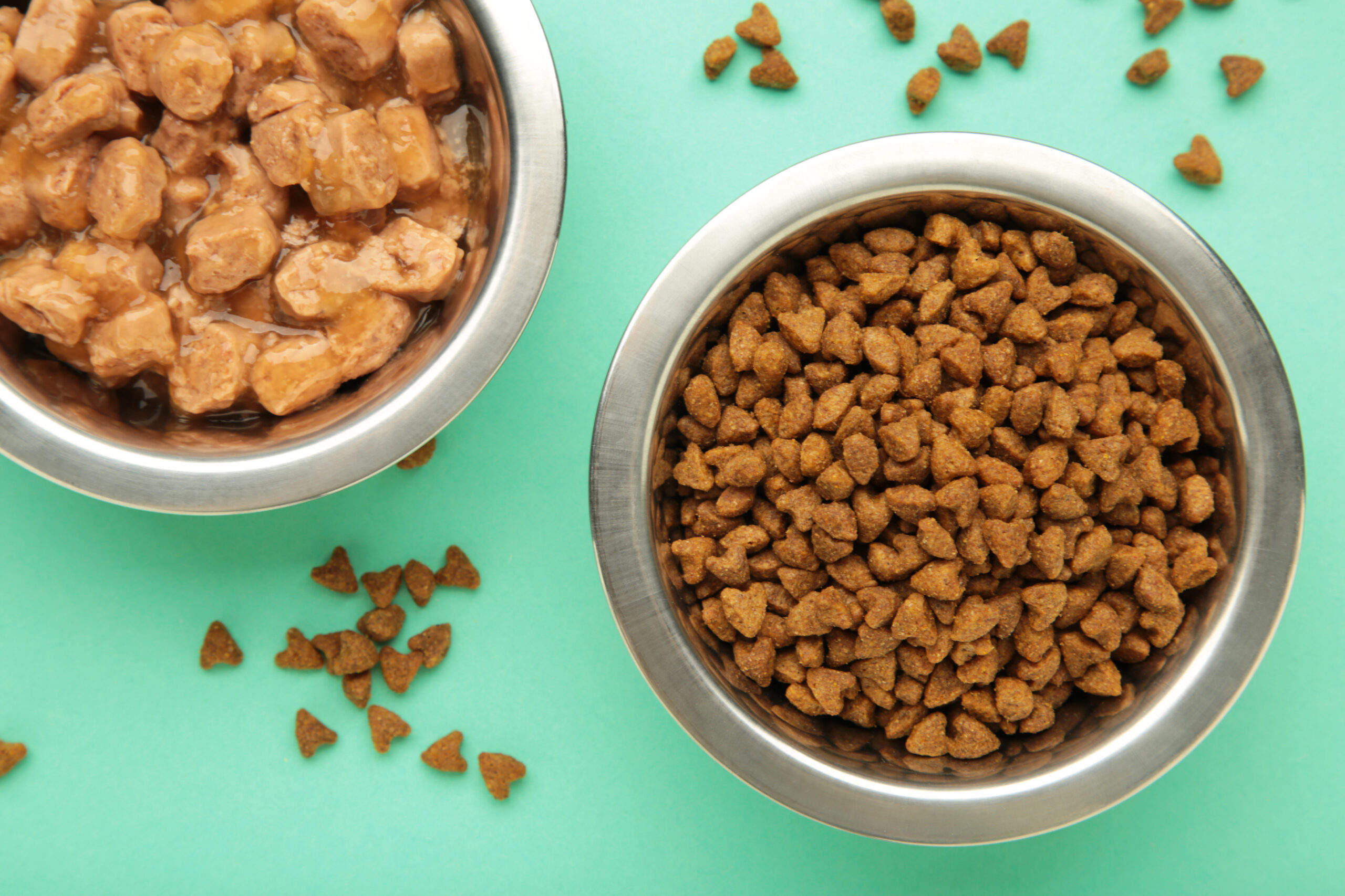 Wet and dry food for dogs and cats in silver bowl on mint background.