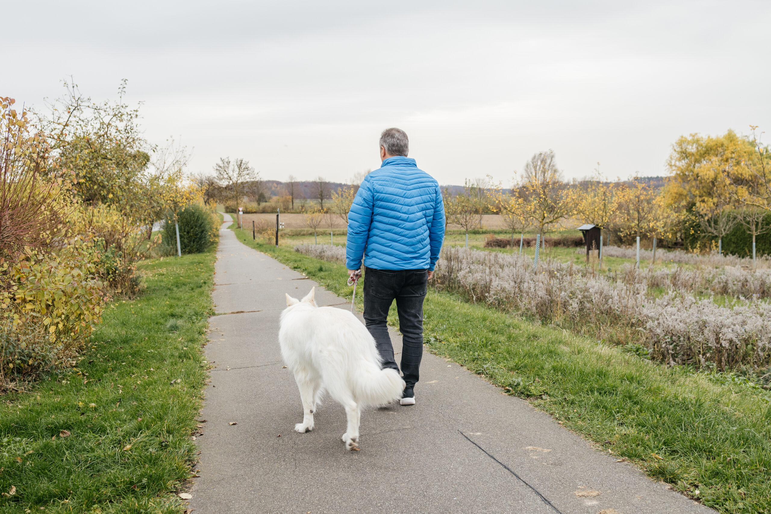 Man and dog walking along rural path in autumn